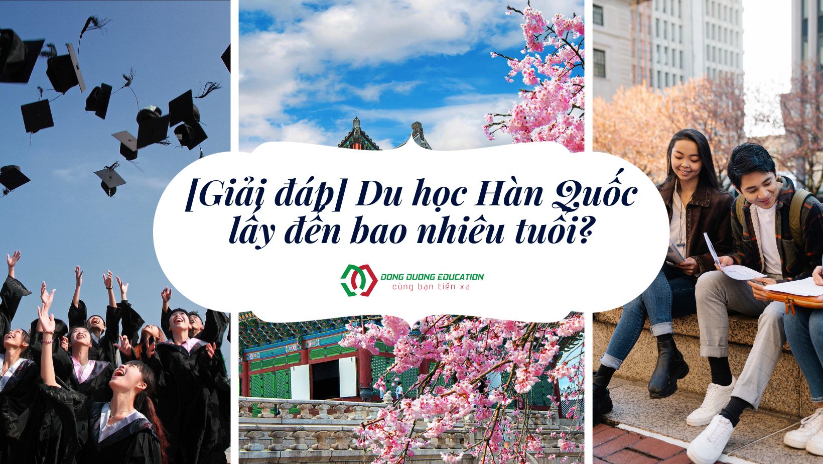 du-hoc-han-quoc-lay-bao-nhieu-tuoi (5)