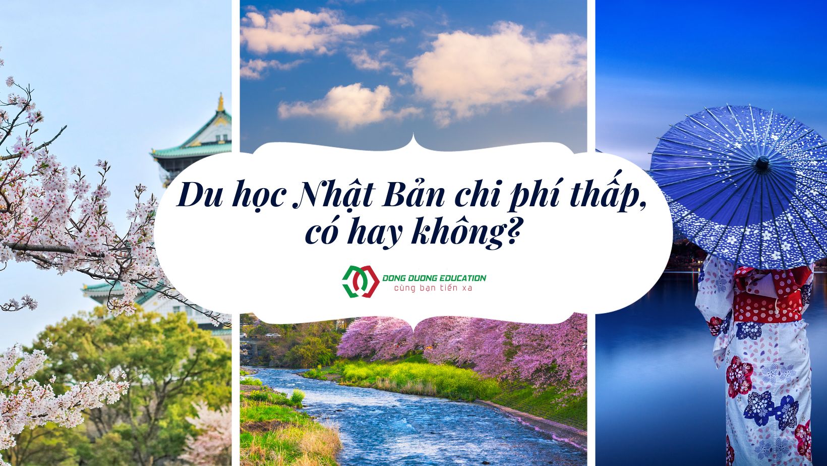 du-hoc-nhat-ban-chi-phi-thap