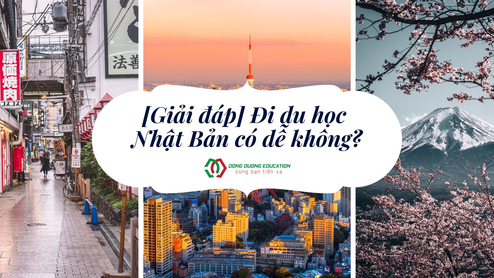 du-hoc-nhat-ban-co-de-khong