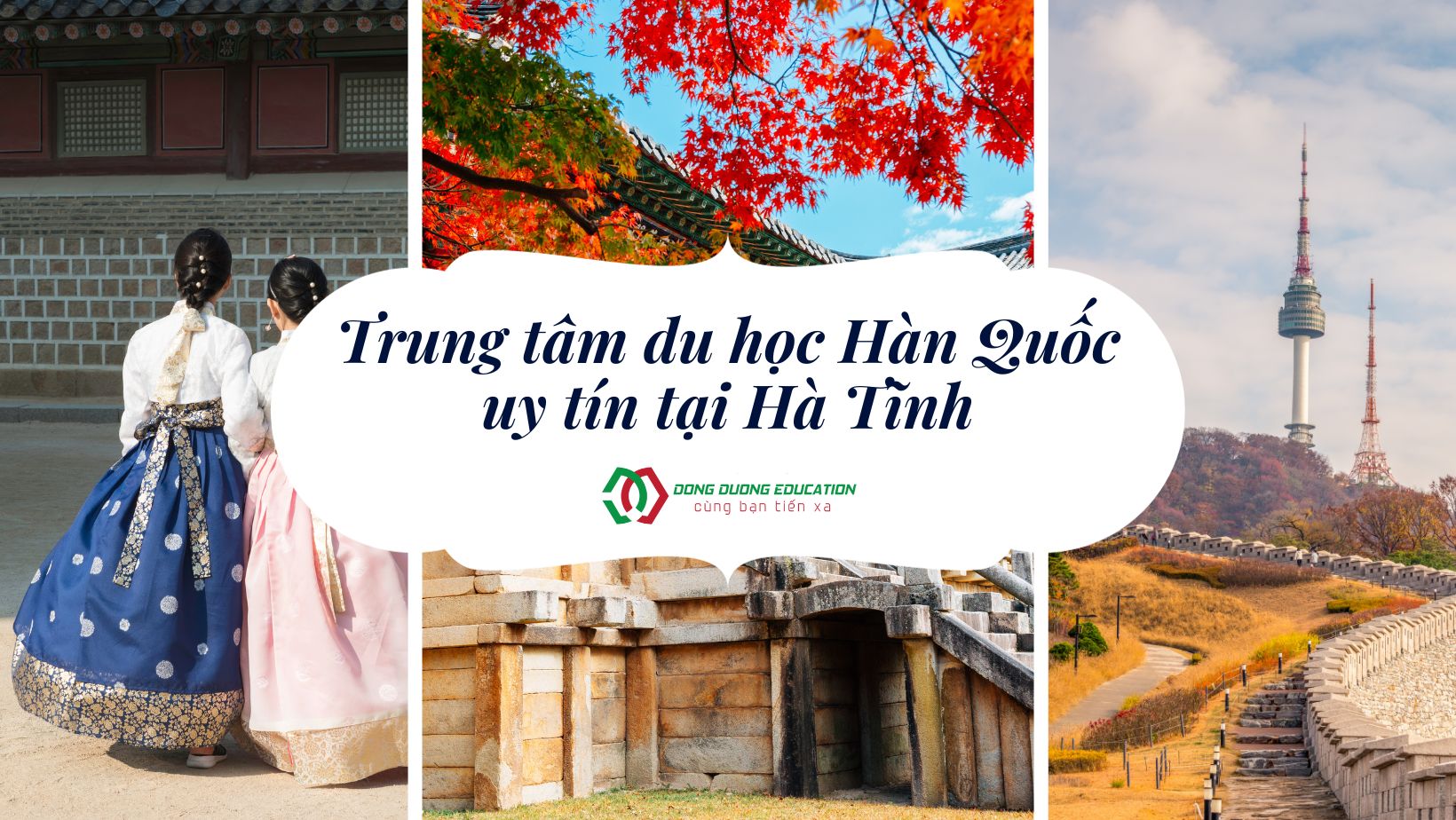 trung-tam-du-hoc-han-quoc
