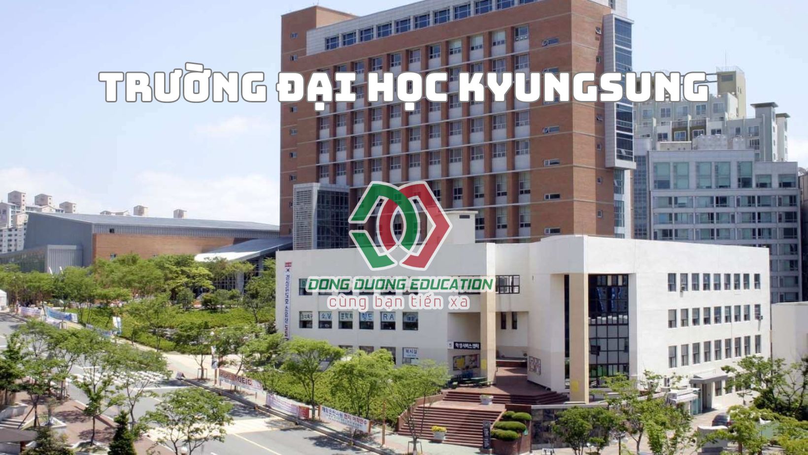 dai-hoc-kyungsung (7)