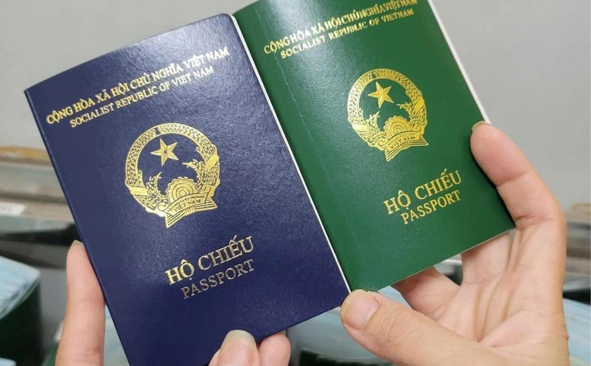 visa-d2-2 (8)