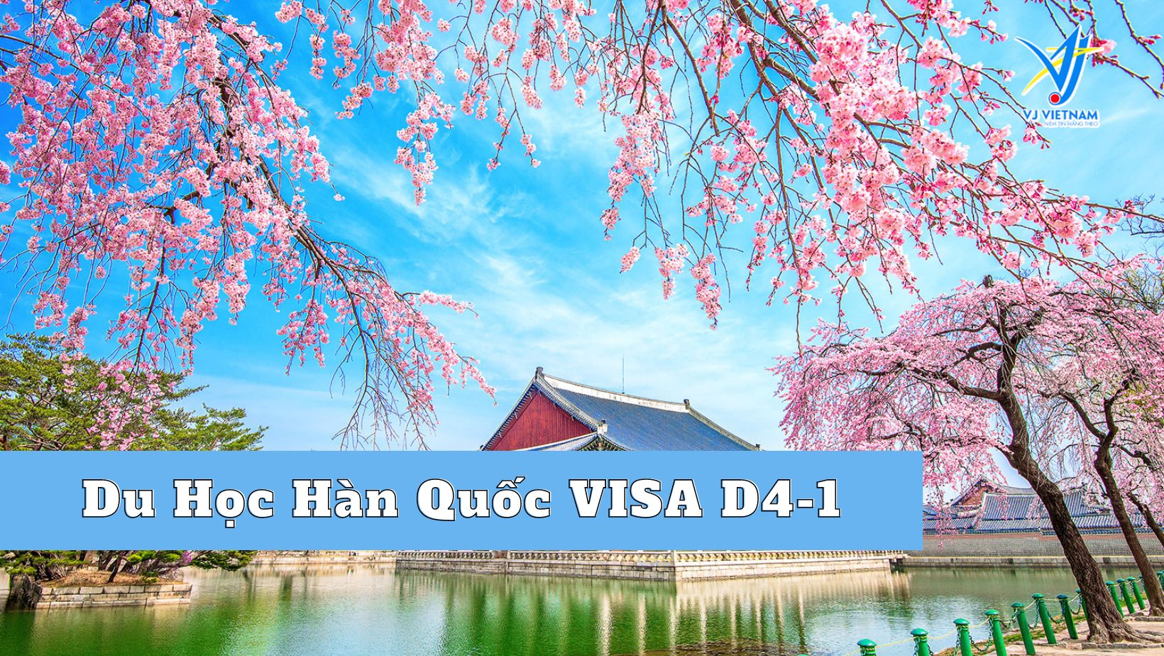 visa-d4-1(6)