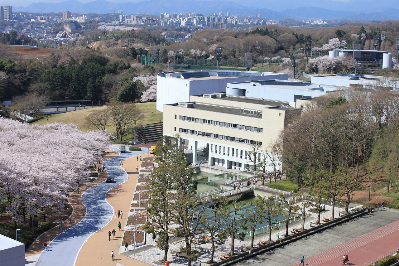 truong-dai-hoc-chuo (5)