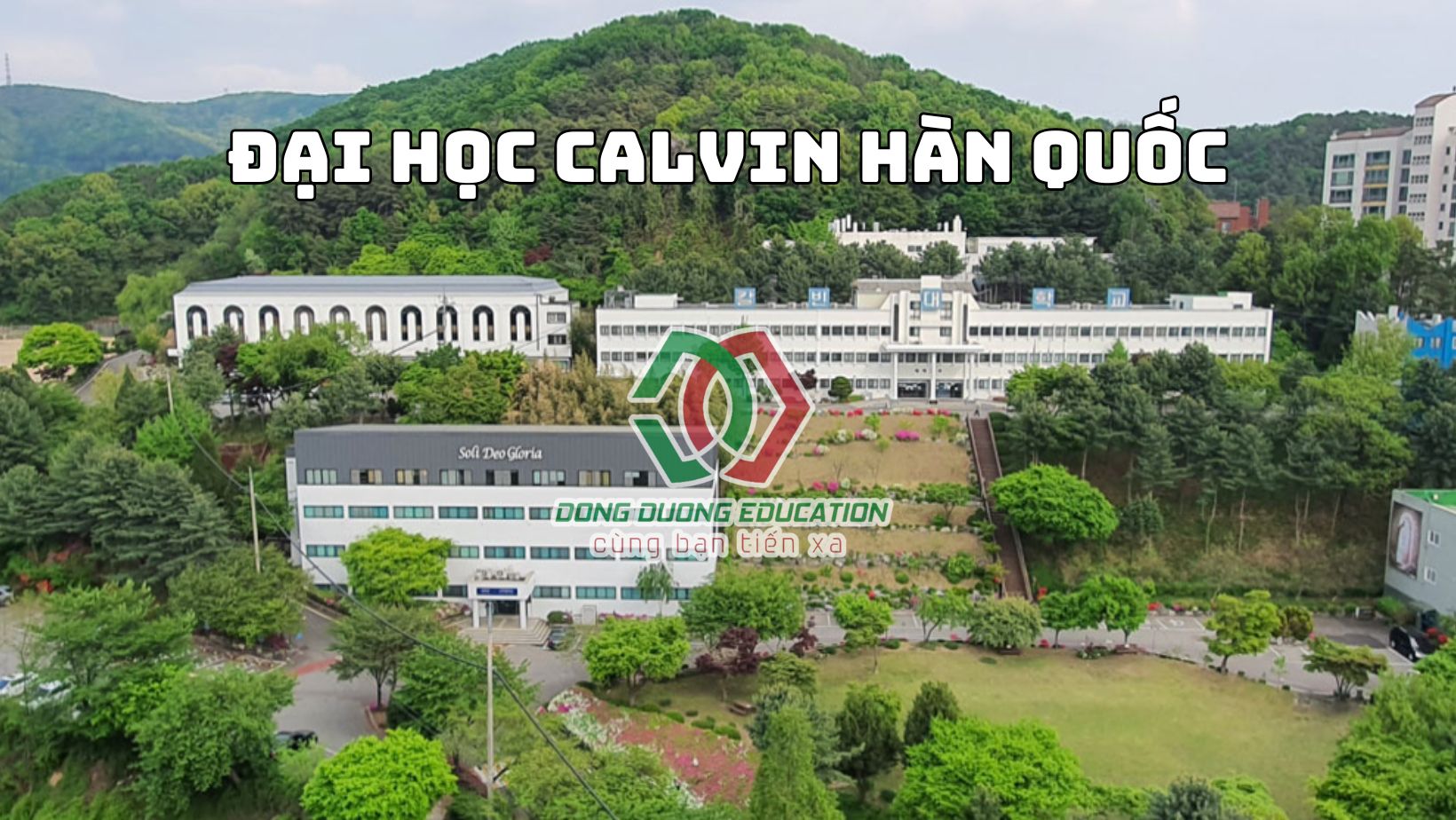 dai-hoc-calvin-han-quoc (6)