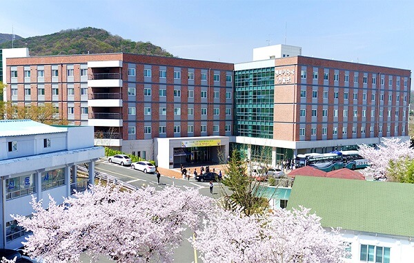 dai-hoc-daegu-haany (5)