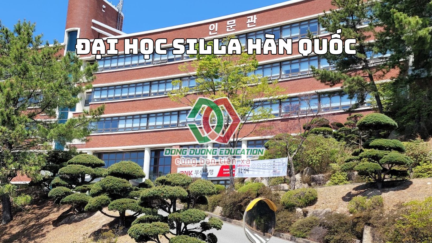 truong-dai-hoc-silla (7)